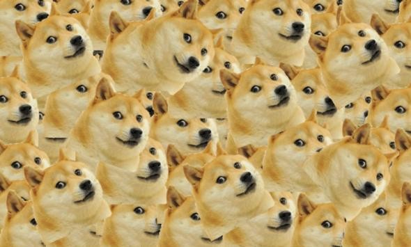 什么是doge？