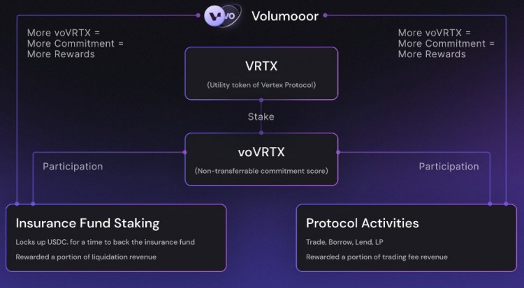 Vertex 流动性拍卖回顾：代币的初始流动性已经到位，激励计划或催生交易热情