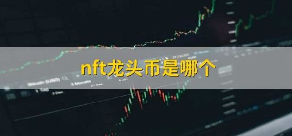 哪一种是nft龙头币？