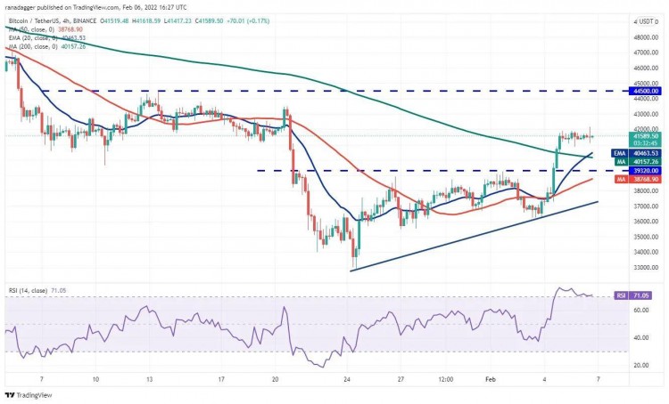 这个星期值得关注 5 大型加密货币：BTC、ETH、NEAR、MANA、LEO