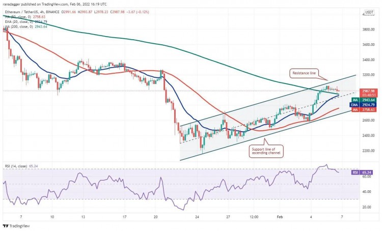 这个星期值得关注 5 大型加密货币：BTC、ETH、NEAR、MANA、LEO