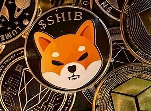 DOGE与SHIB：哪一个是下一个明星加密货币，从玩笑到价值？