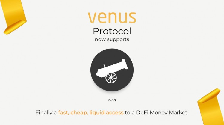 Venus 1.3亿美金 BTC 超大羊毛是怎么被撸到手的？