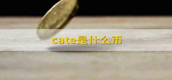 什么是cate？