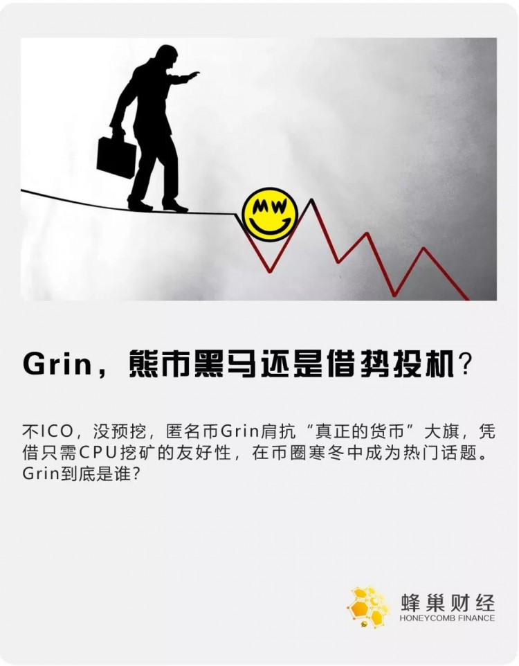 Grin这种匿名货币点燃了冷币圈，能否扛起“真货币”的大旗？