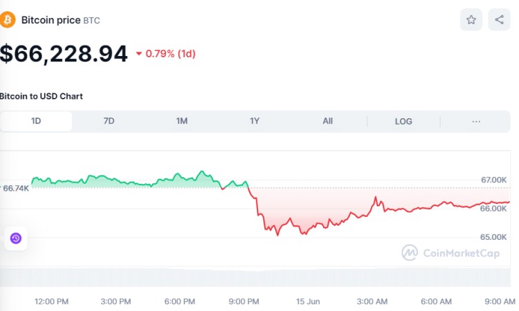 比特币（BTC）分析人员预测：明年涨到20万美元，2033年达到100万美元