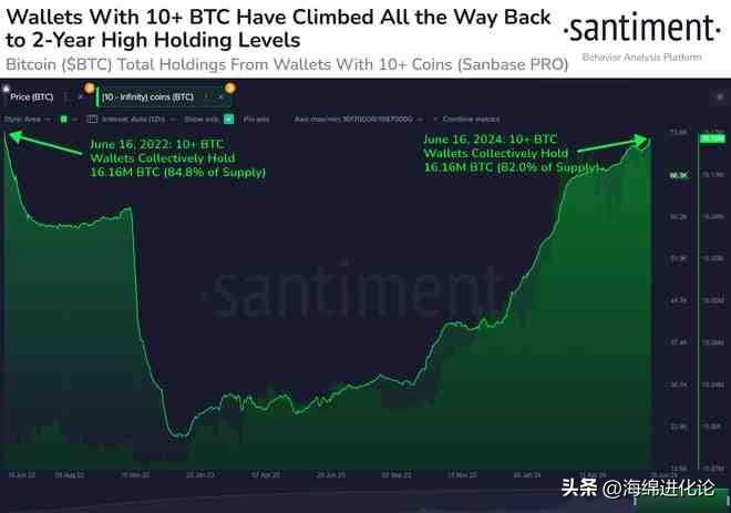 超过比特币鲸鱼 十人持有BTC触及两年高点，BTC即将上涨？