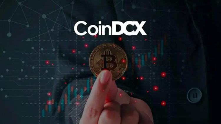 CoinDCX，新加坡加密货币交易所 启动 Web3 模式，提供访问50,000个代币的权限
