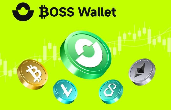 6万美元的比特币测试关口_BOSS帮助用户保护虚拟资产的Wallet(1)