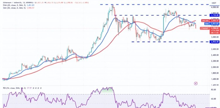 BTC 比特币 当市场低迷时，企业鲸鱼收购了价值 7000 比特币万美元